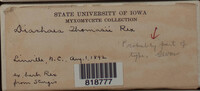 Image Associated With the Occurence